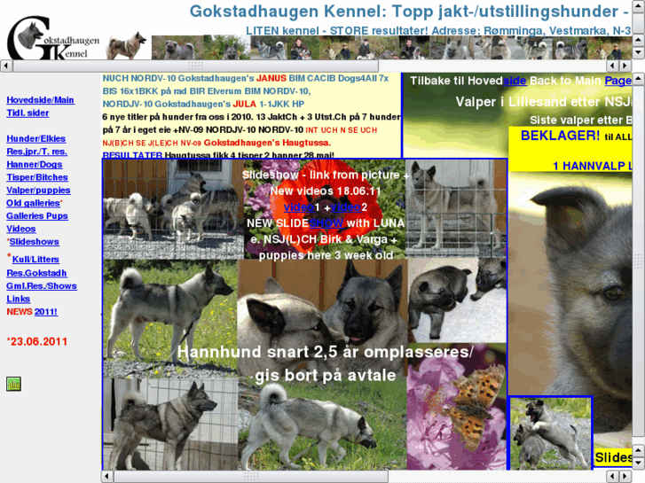 www.gokstadhaugenkennel.com