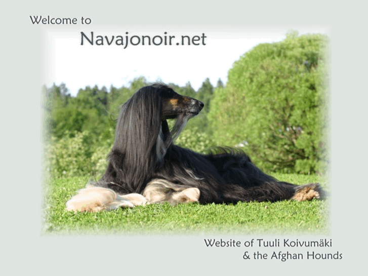 www.navajonoir.net