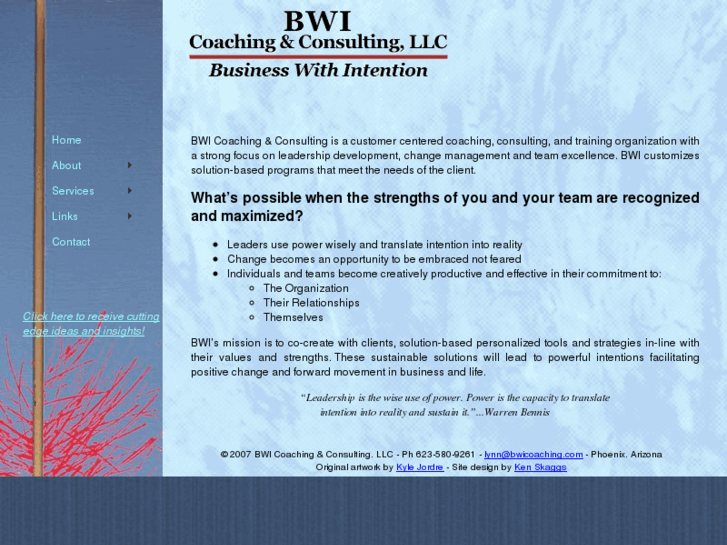 www.bwiconsulting.com