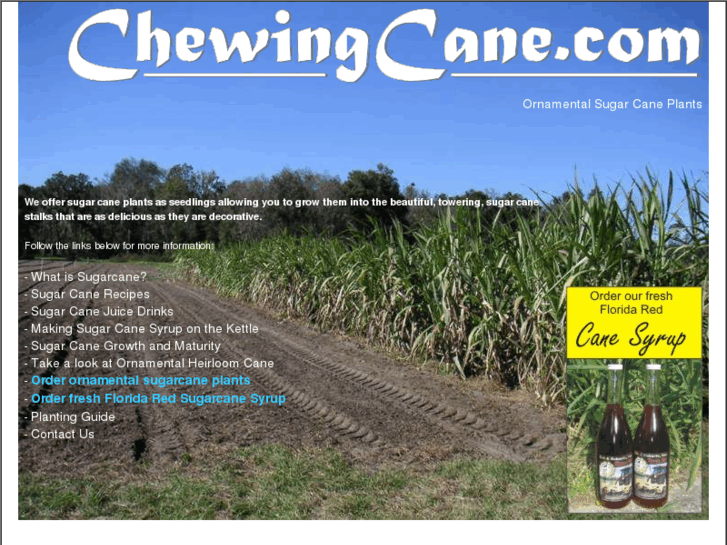 www.chewingcane.com