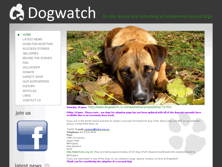 www.dogwatch.co.nz