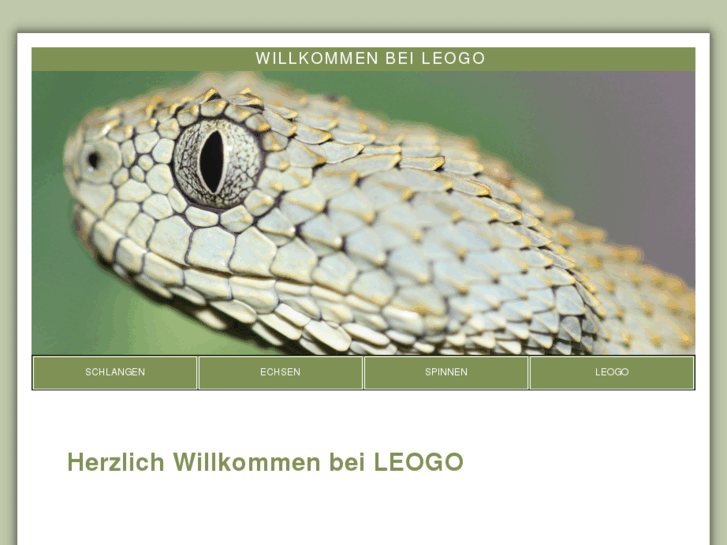 www.leogo.ch