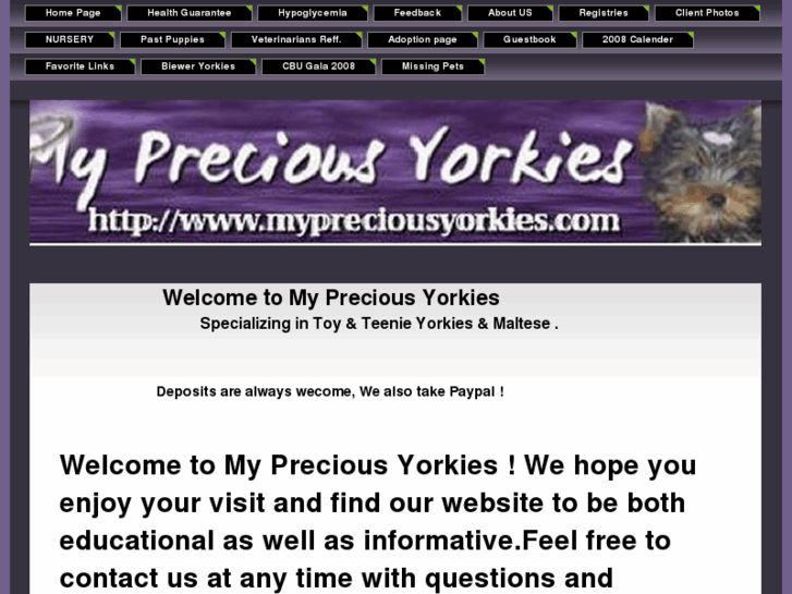 www.mypreciousyorkies.com