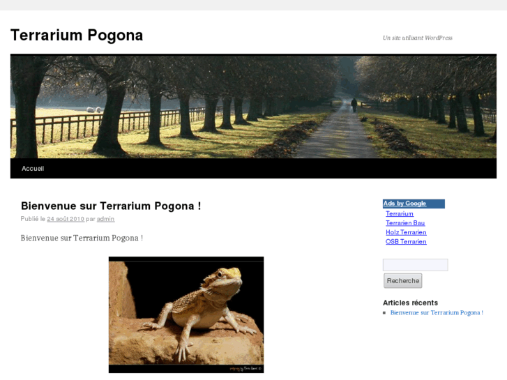 www.terrariumpogona.com