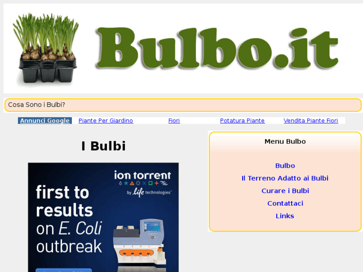 www.bulbo.it