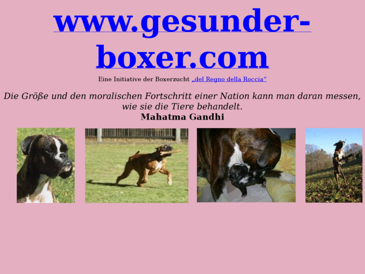 www.gesunder-boxer.com