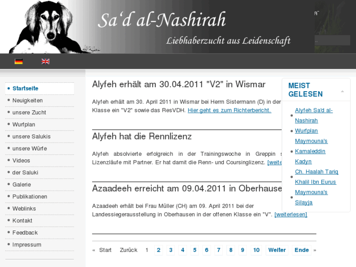 www.nashirah-salukis.de