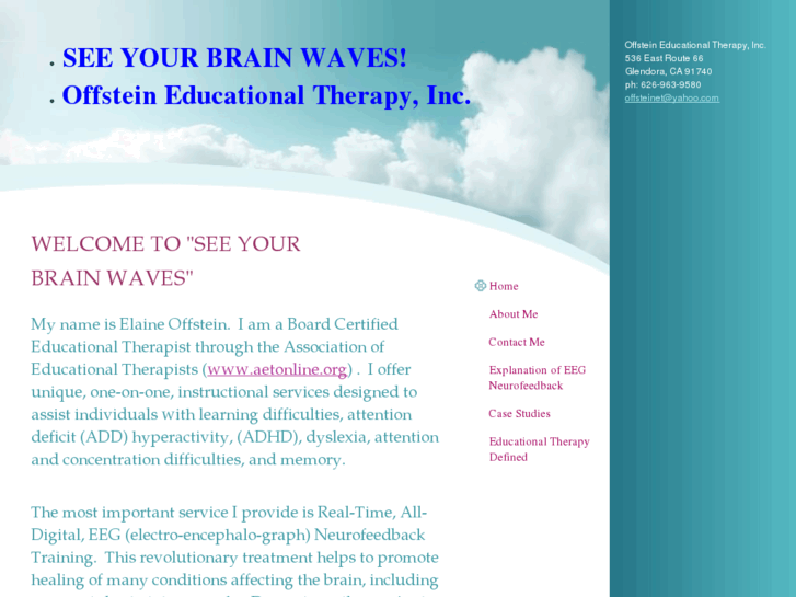 www.seeyourbrainwaves.com