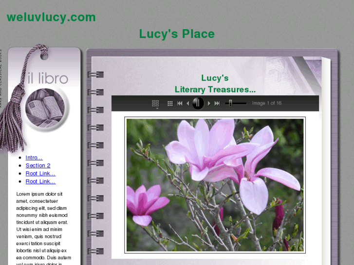 www.weluvlucy.com