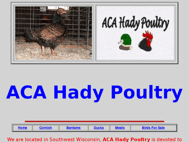 www.acahadypoultry.com