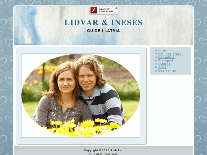 www.andvik.net