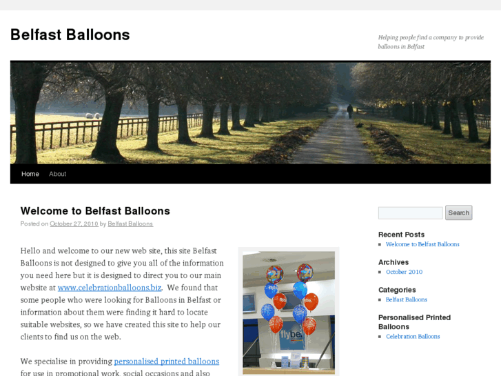 www.belfastballoons.com