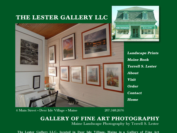 www.thelestergalleryllc.com