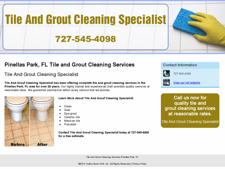 www.tilecleaningspecialist.com