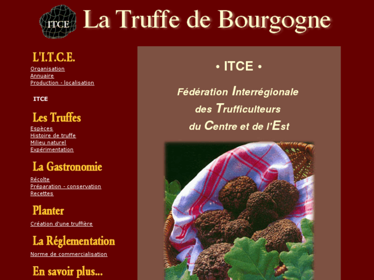 www.truffe-de-bourgogne.com