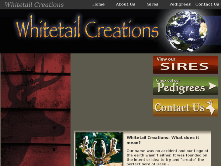 www.whitetailcreations.com