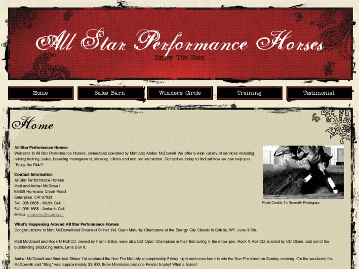 www.allstarperformancehorses.com