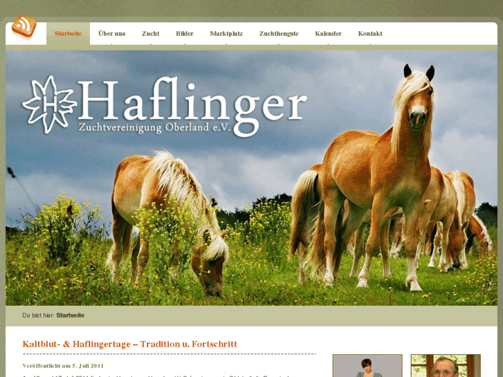 www.haflinger-oberland.de