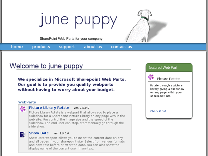 www.junepuppy.com