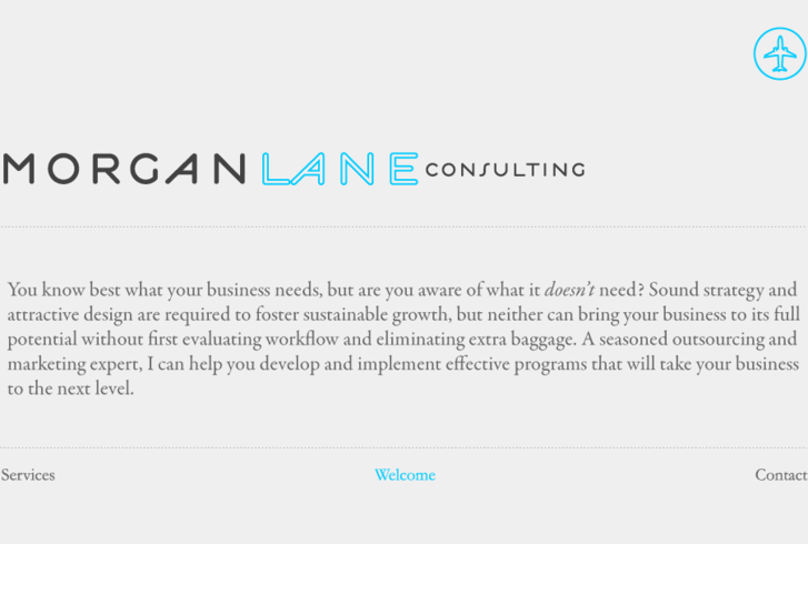 www.morganlaneconsulting.com