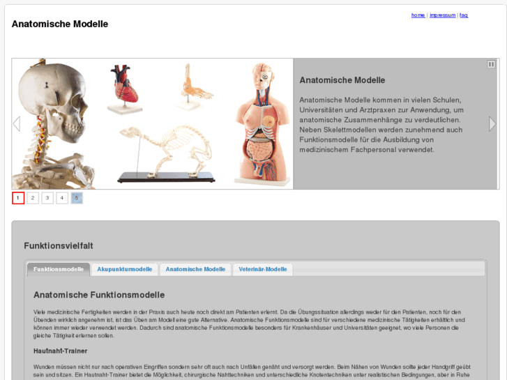 www.anatomische-modelle.info