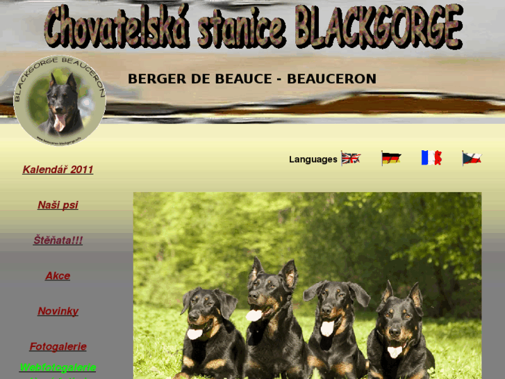 www.beauceron-blackgorge.info