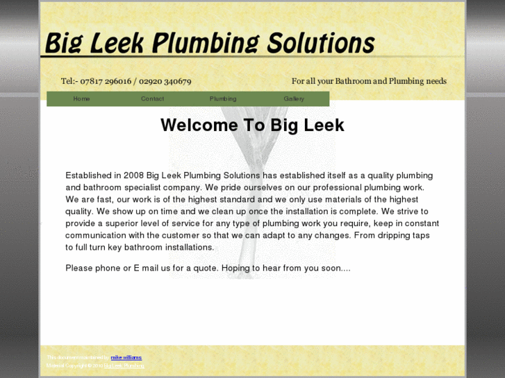 www.bigleekplumbingsolutions.com