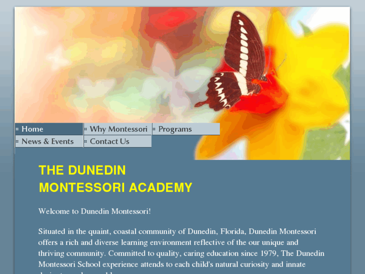 www.dunedinmontessori.com