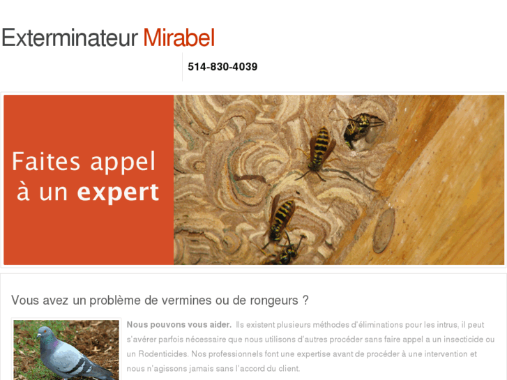 www.exterminateur-mirabel.com