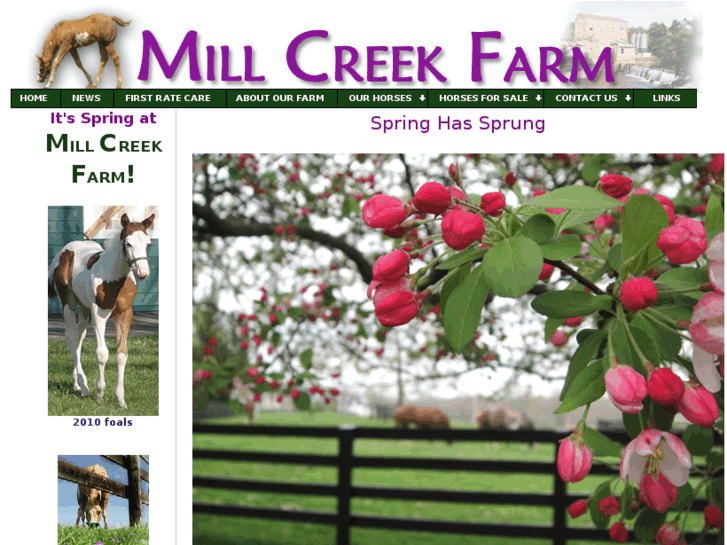 www.millcreek-farm.com