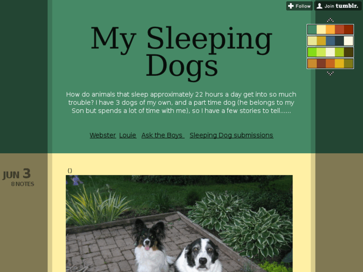 www.mysleepingdogs.com