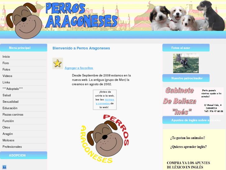 www.perrosaragoneses.com