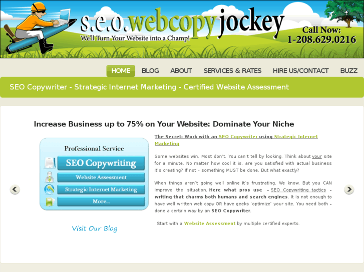 www.seo-web-copy-jockey.com