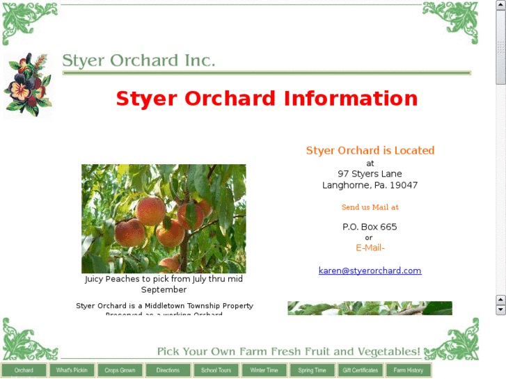 www.styerorchard.com