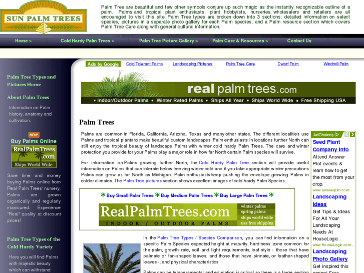 www.sunpalmtrees.com