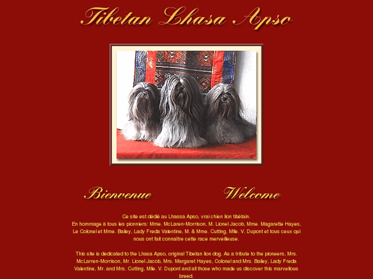 www.tibetan-lhasa-apso.com