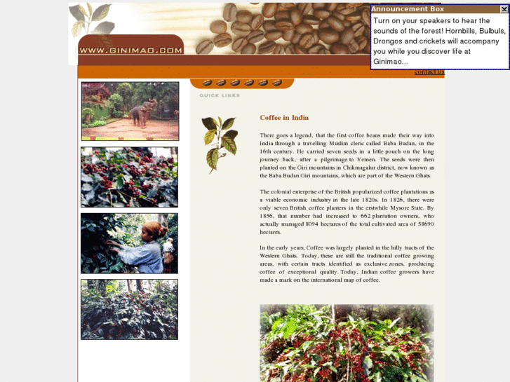 www.livingbean.com