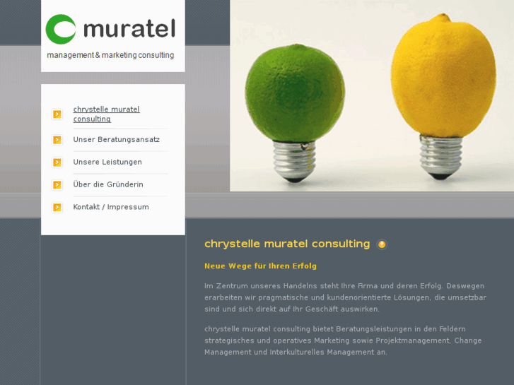 www.muratel-consulting.com