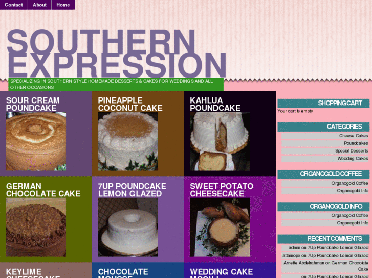 www.southernexpression.net