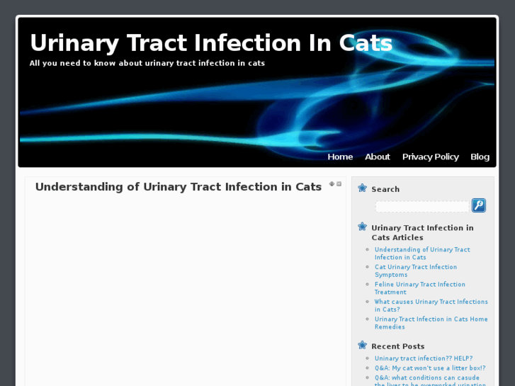 www.urinarytractinfectionincats.com