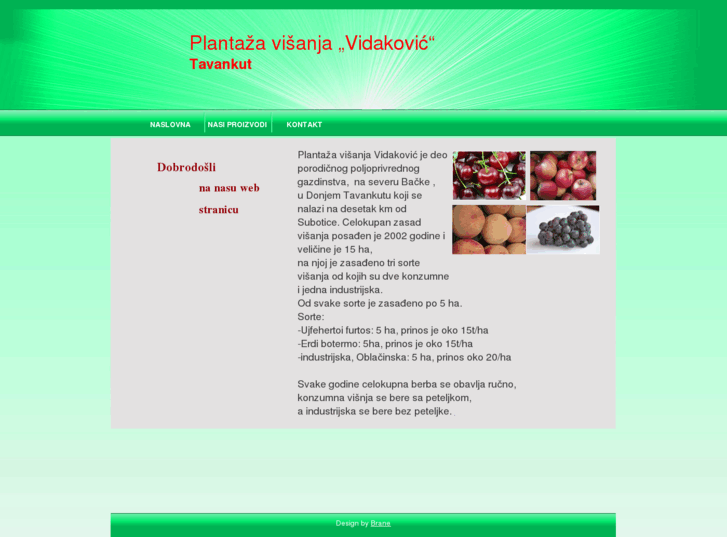 www.visnje-vidakovic.com