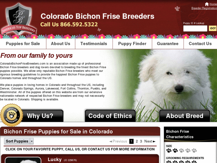 www.coloradobichonfrisebreeders.com