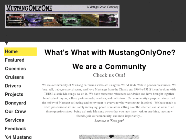 www.mustangonlyone.com