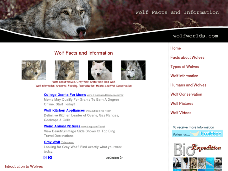 www.wolfworlds.com