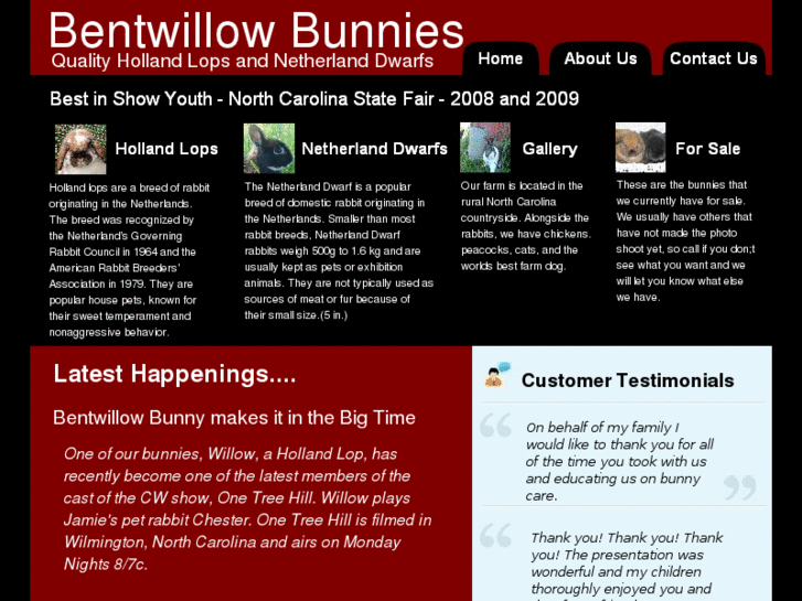 www.bentwillowbunnies.com