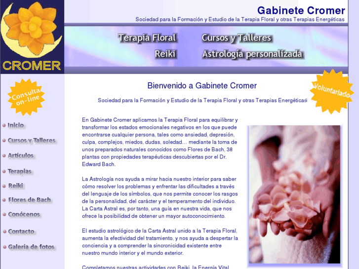 www.gabinetecromer.com