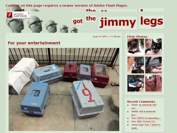 www.jimmylegs.com