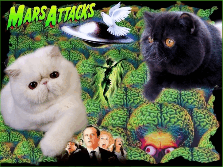 www.marsattackcattery.com