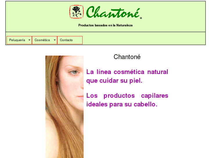 www.chantone.com