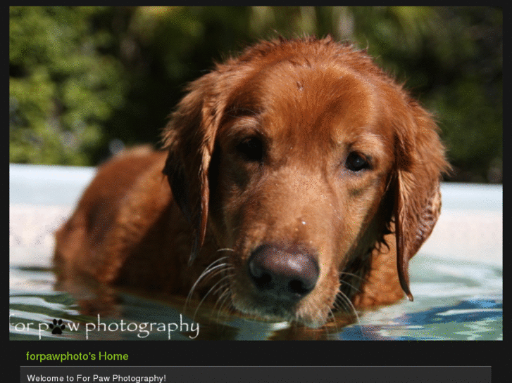 www.forpawphoto.com